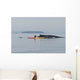Humpback Whale Surfaces near Wall Decal Design 1
