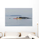 Humpback Whale Surfaces near Wall Decal Design 1