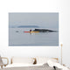 Humpback Whale Surfaces near Wall Decal Design 1