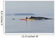 Humpback Whale Surfaces near Wall Decal Design 1