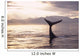 Silhouette Humpback Whale Fluke Wall Decal