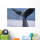 Up Humpback Whale Fluke Wall Decal