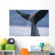 Up Humpback Whale Fluke Wall Decal