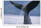 Up Humpback Whale Fluke Wall Decal