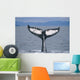 Humpback Whale Fluke Frederick Wall Decal Design 2