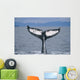 Humpback Whale Fluke Frederick Wall Decal Design 2