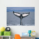 Humpback Whale Fluke Frederick Wall Decal Design 2