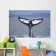 Humpback Whale Fluke Frederick Wall Decal Design 2