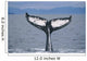 Humpback Whale Fluke Frederick Wall Decal Design 2