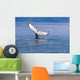 Humpback Whale Fluke Frederick Wall Decal Design 1