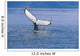 Humpback Whale Fluke Frederick Wall Decal Design 1