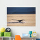 Humpback Whale Tail Pybus Wall Decal