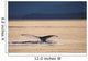 Humpback Whale Tail Pybus Wall Decal