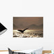 Humpback Whale Tail inside Wall Decal
