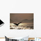 Humpback Whale Tail inside Wall Decal