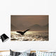 Humpback Whale Tail inside Wall Decal