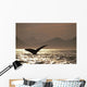 Humpback Whale Tail inside Wall Decal
