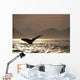 Humpback Whale Tail inside Wall Decal