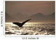 Humpback Whale Tail inside Wall Decal