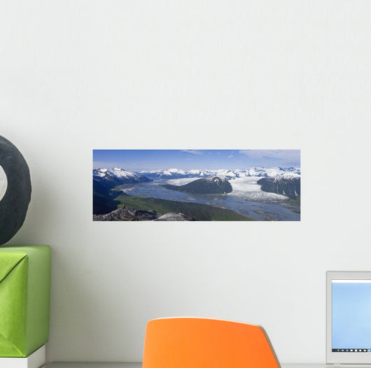 Aerial Taku River Wall Decal
