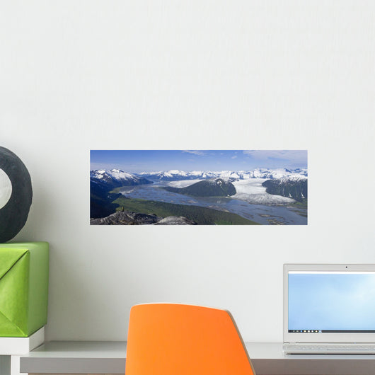 Aerial Taku River Wall Decal