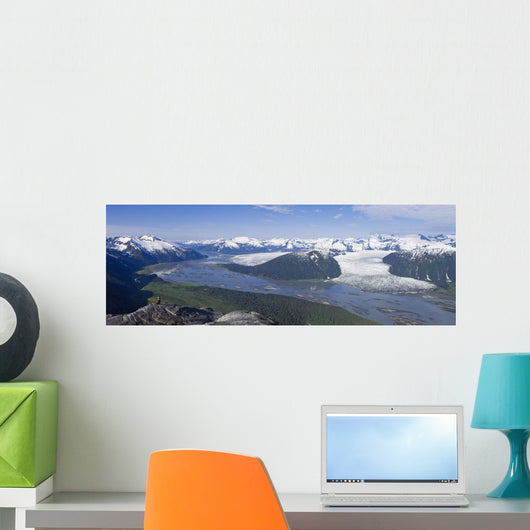 Aerial Taku River Wall Decal