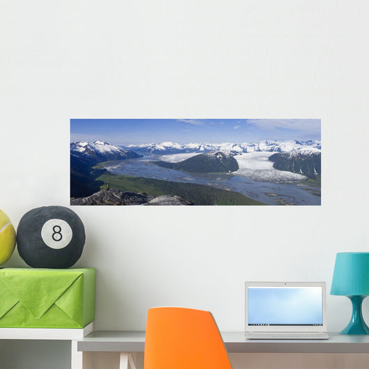 Aerial Taku River Wall Decal
