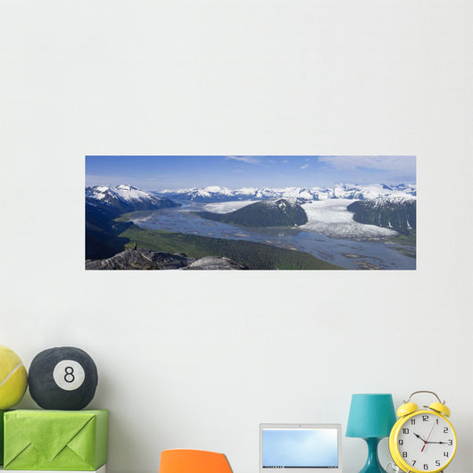Aerial Taku River Wall Decal