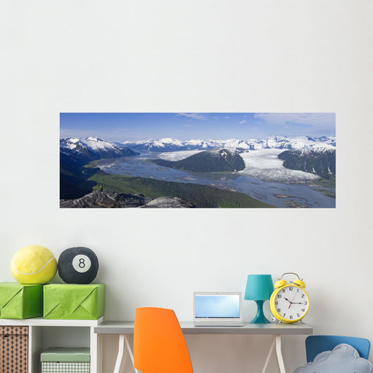 Aerial Taku River Wall Decal