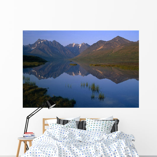 Chigmit Mtns Reflecting Wall Decal
