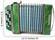 Green Bayan