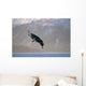 Bald Eagle Landing Kenai Wall Decal