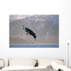 Bald Eagle Landing Kenai Wall Decal