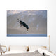 Bald Eagle Landing Kenai Wall Decal