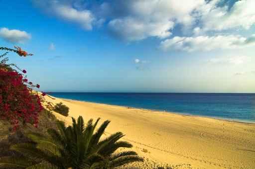 Fuerteventura Beach Wall Decal