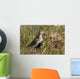Dunlin Standing Wall Decal