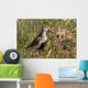 Dunlin Standing Wall Decal