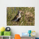 Dunlin Standing Wall Decal
