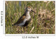 Dunlin Standing Wall Decal
