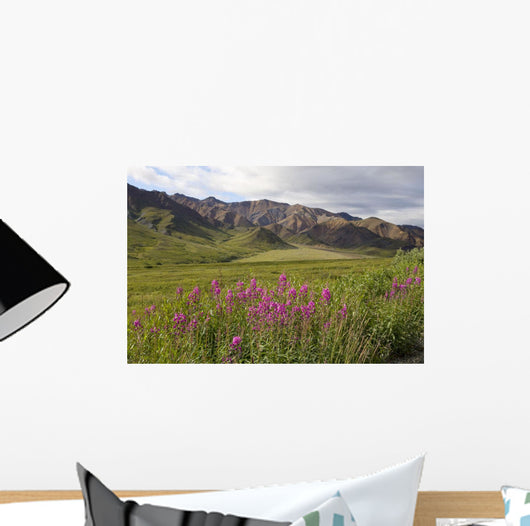 Scenic Highway Pass and Wall Decal