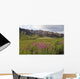 Scenic Highway Pass and Wall Decal