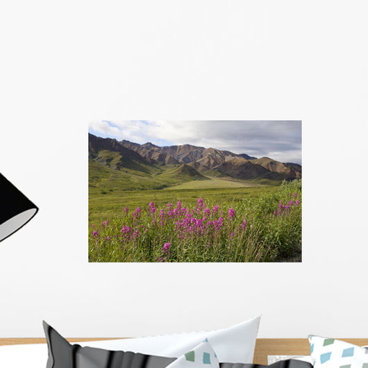 Scenic Highway Pass and Wall Decal