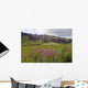 Scenic Highway Pass and Wall Decal