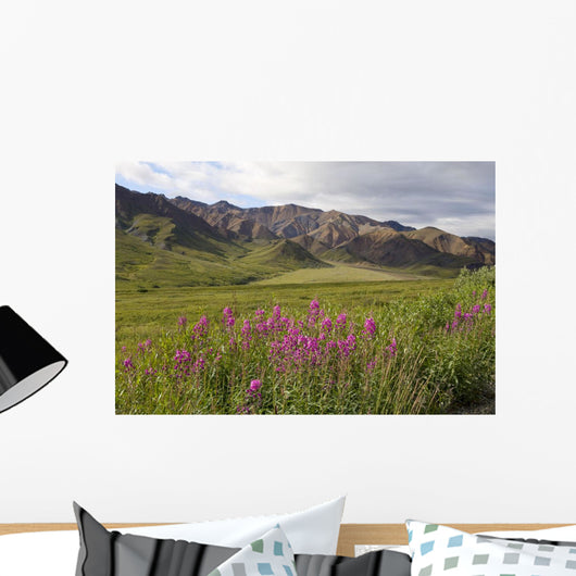 Scenic Highway Pass and Wall Decal