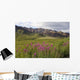 Scenic Highway Pass and Wall Decal