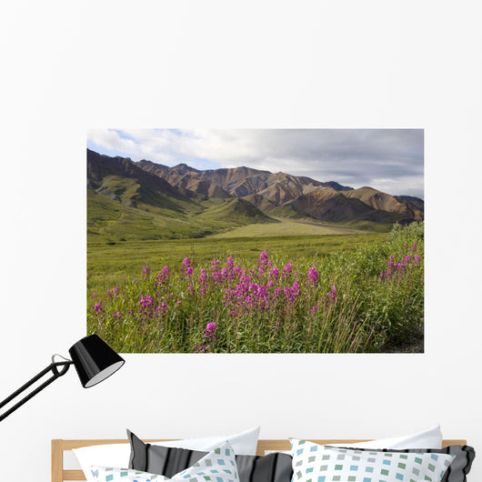 Scenic Highway Pass and Wall Decal