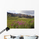 Scenic Highway Pass and Wall Decal