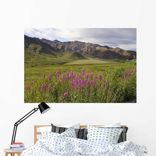 Scenic Highway Pass and Wall Decal