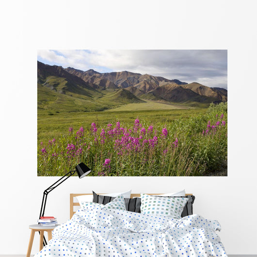 Scenic Highway Pass and Wall Decal