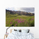 Scenic Highway Pass and Wall Decal